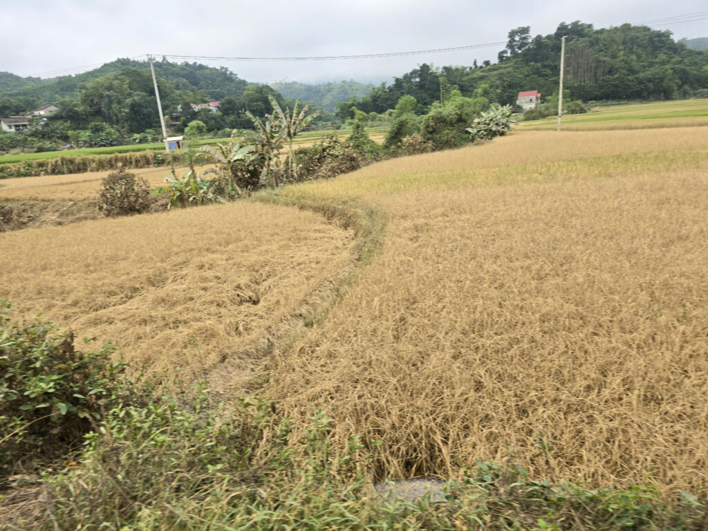 MẠNH ĐỨC GROUP