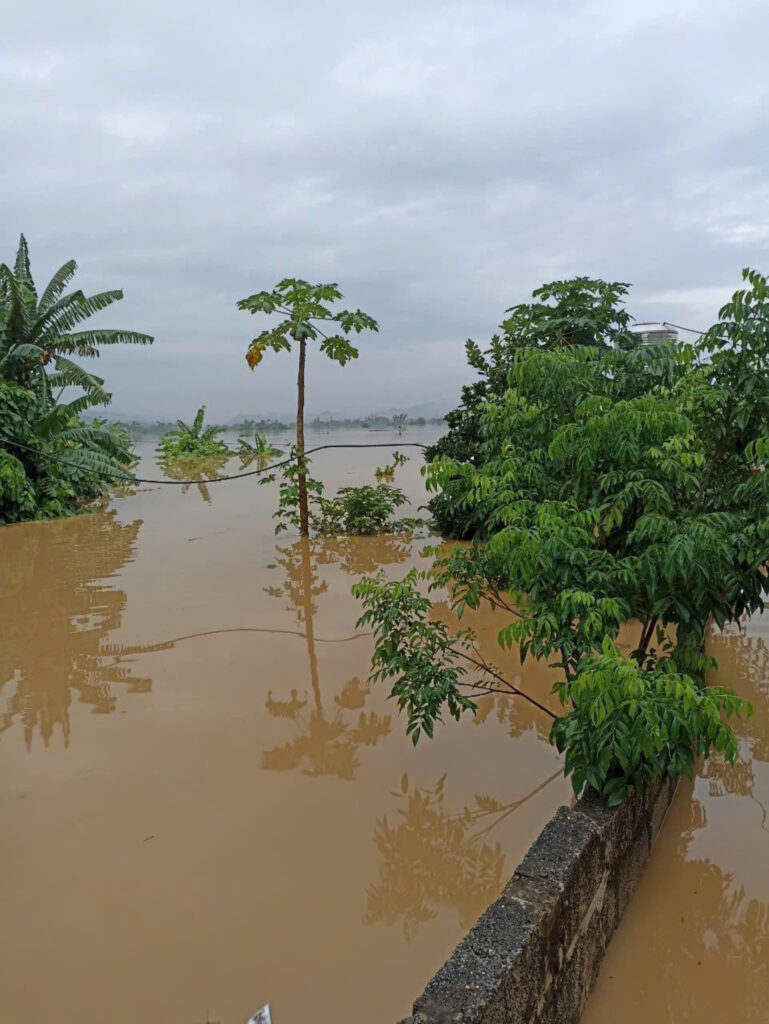 MẠNH ĐỨC GROUP